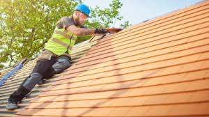 Best Roof Maintenance and Cleaning  in Machesney Park, IL